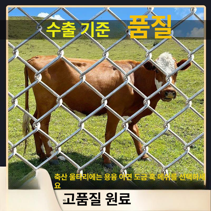 다용도 안전 메쉬 망 염소망 철조망 닭장 사유지 사각 철망 울타리 강철 축사 그물망 꿩망 - 상세 이미지 2
