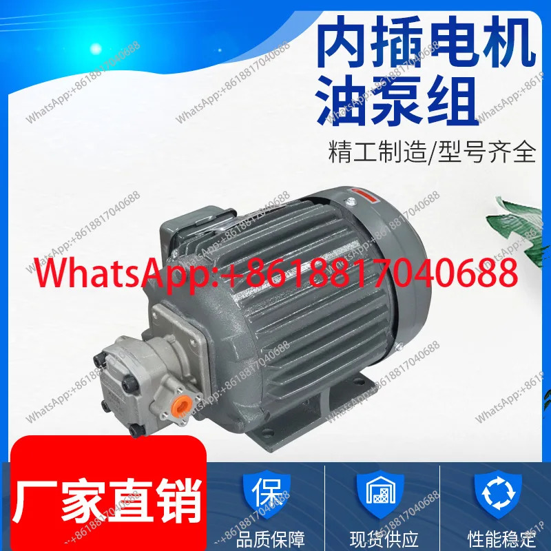 유압 모터 오일 펌프  조합 0.75/1.5/2.2KW VP20/VP15/VP30 포함
