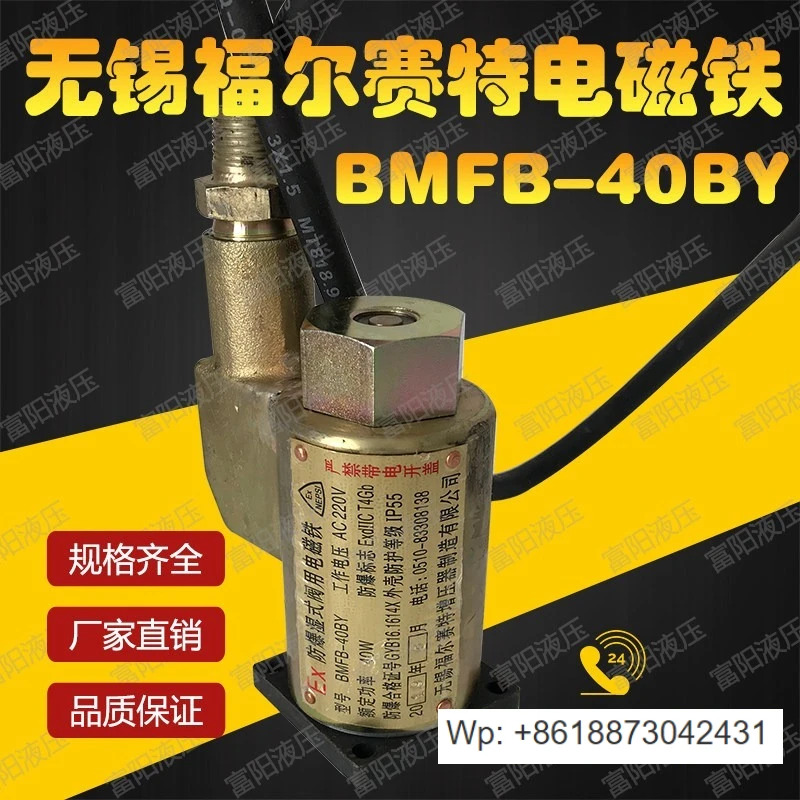 방폭형 습식 밸브 전자석 BMFB-40BY BMFB-25BY 8GY BMFB1-4Y 5.5Y