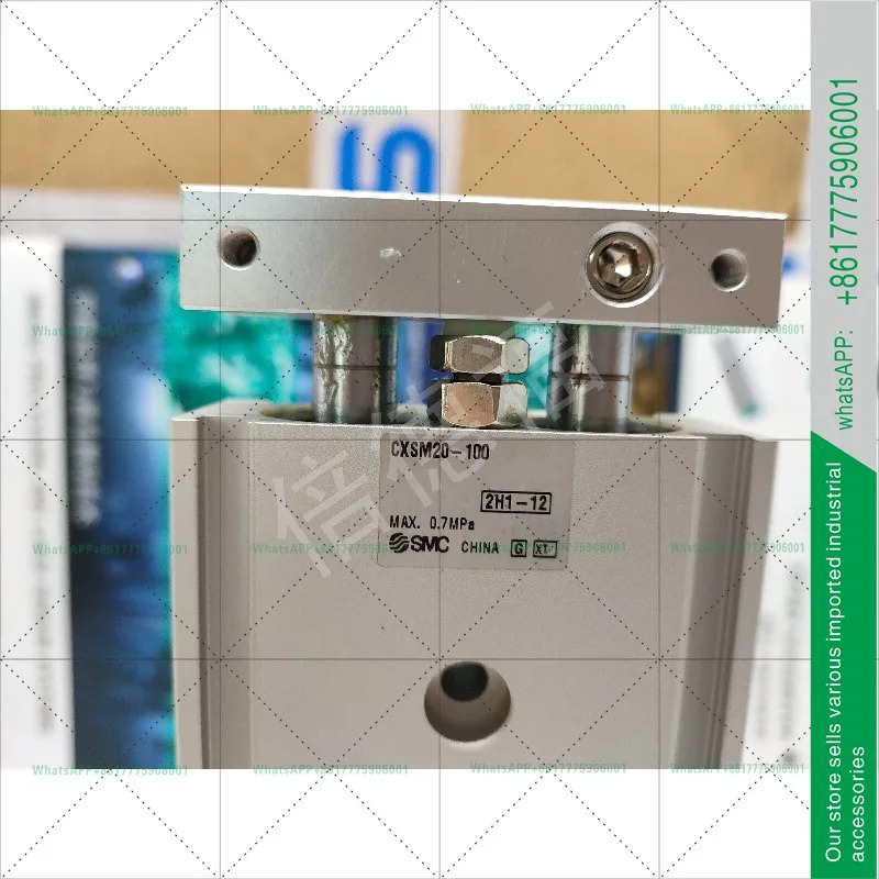 일본 SMC 오리지널 CXSM20-100