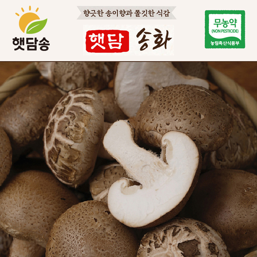 [햇담송화]무농약 국내산 송화 중상급 300g 대형마트 품질그대로 송화고버섯 송고 이미지 7