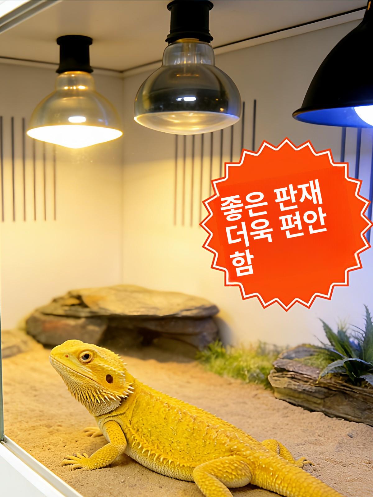 도마뱀 온습도조절 파충류 사육장 테라리움 스마트 전문 화이트 단일 80x50x50 3개 가열+조명 - 상세 이미지 4