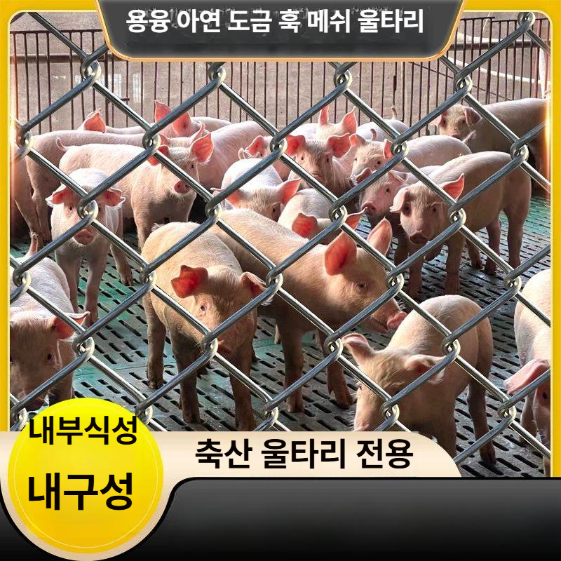 다용도 안전 메쉬 망 염소망 철조망 닭장 사유지 사각 철망 울타리 강철 축사 그물망 꿩망 - 상세 이미지 3