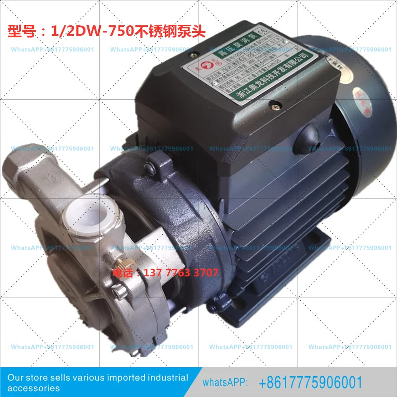 아오롱 워터 펌프 정티엔 고압 보일러 급수 1/2DW750 와트 액세서리
