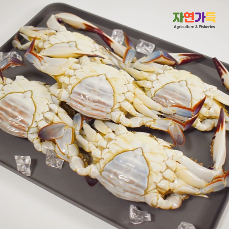 자연가득 프리미엄 인천 연안 알배기 활 대암게 1kg 2-4미 - 상품 이미지