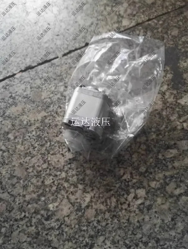 SDH 기어 펌프 오일 마이크로 CBD-F10.16L1B-BA 티안둔 유압