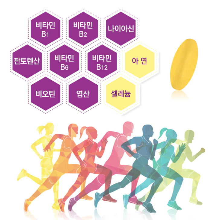 비타민비3 비타민비6 비타민b12권장량 역할 - 상세 이미지 2