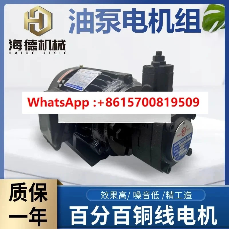 VP20 0.75KW1.5 유압 펌프 어셈블리 내부 샤프트 모터 스테이션 액세서리 시스템