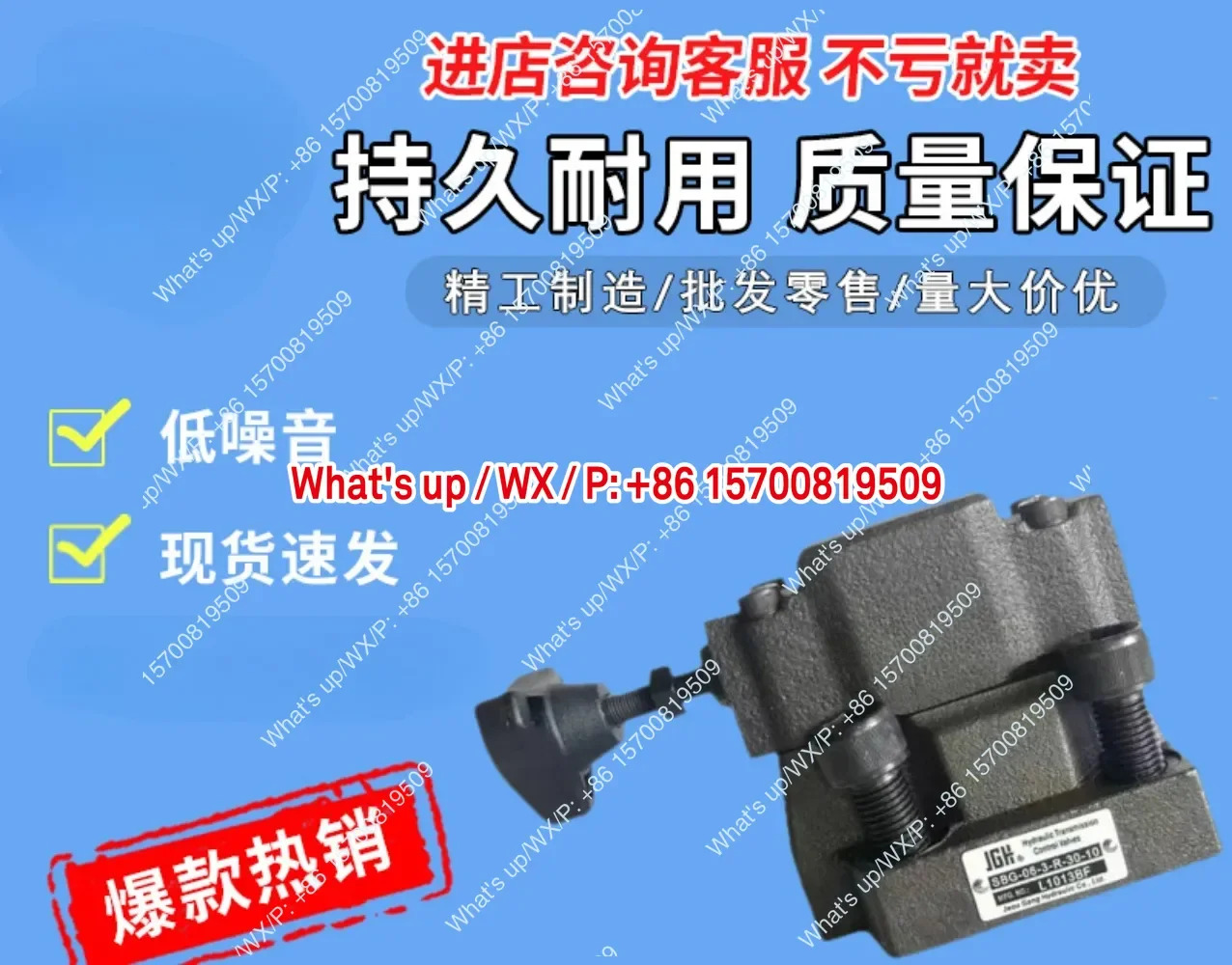 일반 액세서리 릴리프 밸브 DBW-G03-B3 DBW-G06/10-A3 DBW-01-A3 6D/6HA/E