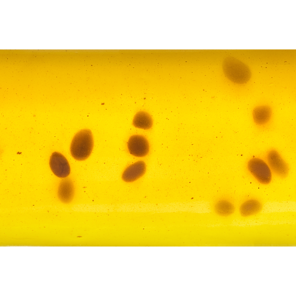 알파컷 알파cd 다이어트 젤리스틱 바나바잎추출물 15포, 5개 이미지 3