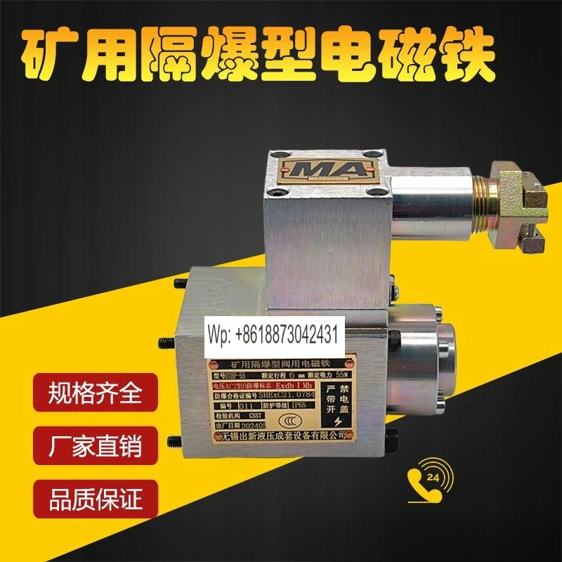 Wuxi 방폭 솔레노이드 DTBZ-25FYC/37FYC/55FYC/90FYC/24V/220 밸브