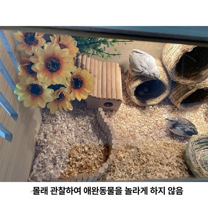 크레스티드게코 레오파드게코 사육장 집 뱀 렉사 양서류 120x50x50 기본 - 상세 이미지 3