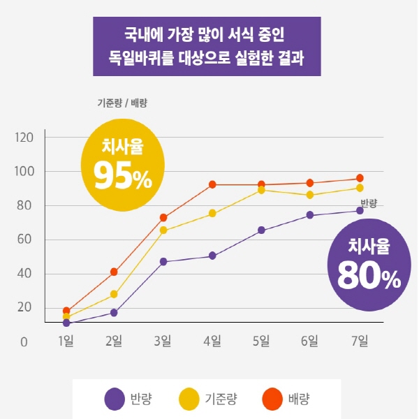 국보 바퀴벌레약 울트라맥스겔 40g + 먹이통 10개 강력한 식독제 퇴치제 박멸 쩔템 겔타입 바퀴약 이미지 8
