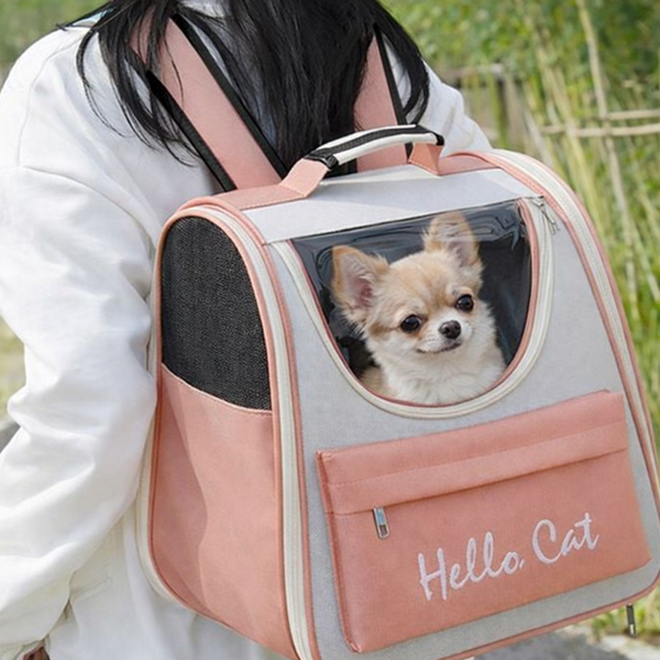 반려동물 강아지 이동가방 백팩 고양이 이동가방 외출 캐리어 - 상품 이미지