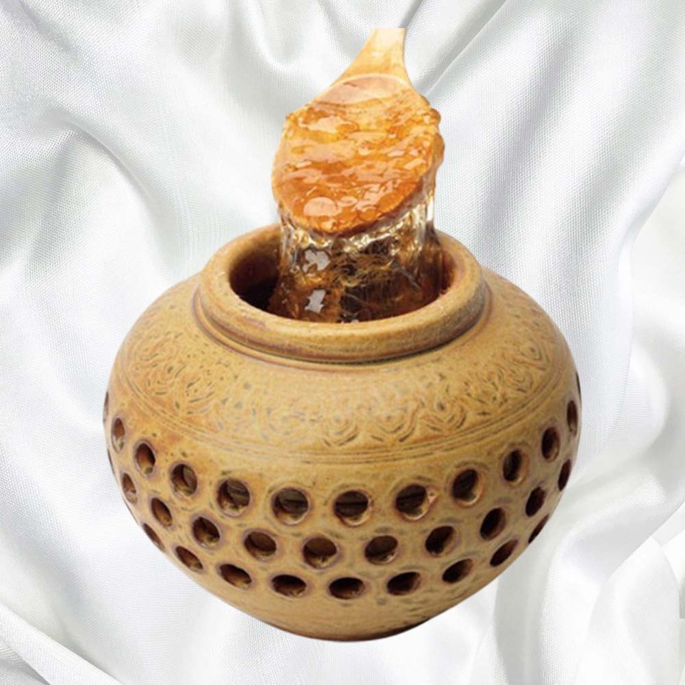 산삼배양근담은꿀 600g 맛있는꿀 꿀차 - 상품 이미지