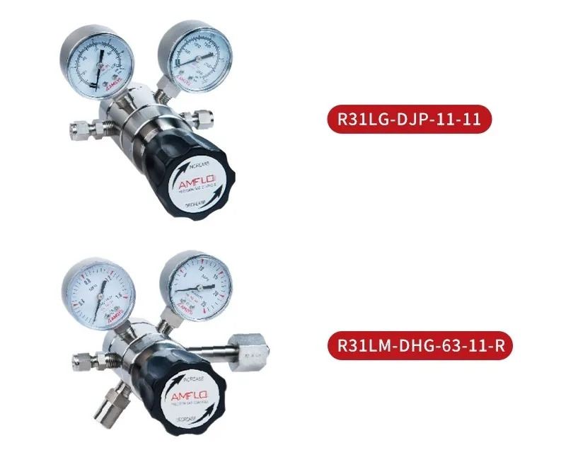 316 스테인리스 스틸 R31 2단계 압력 감압기 3000PSI 실험실용