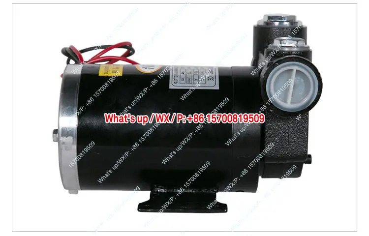 적모델 12V24V220V 오리지널 자흡식 펌프 오일 AC DC 전기 자동 구리 코어 모터