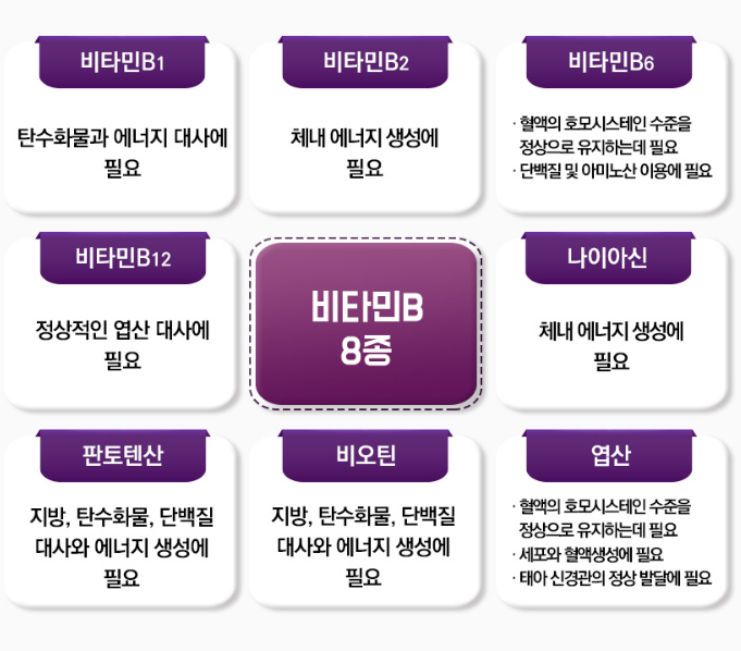 비타민비3 비타민비6 비타민b12권장량 역할 - 상세 이미지 3