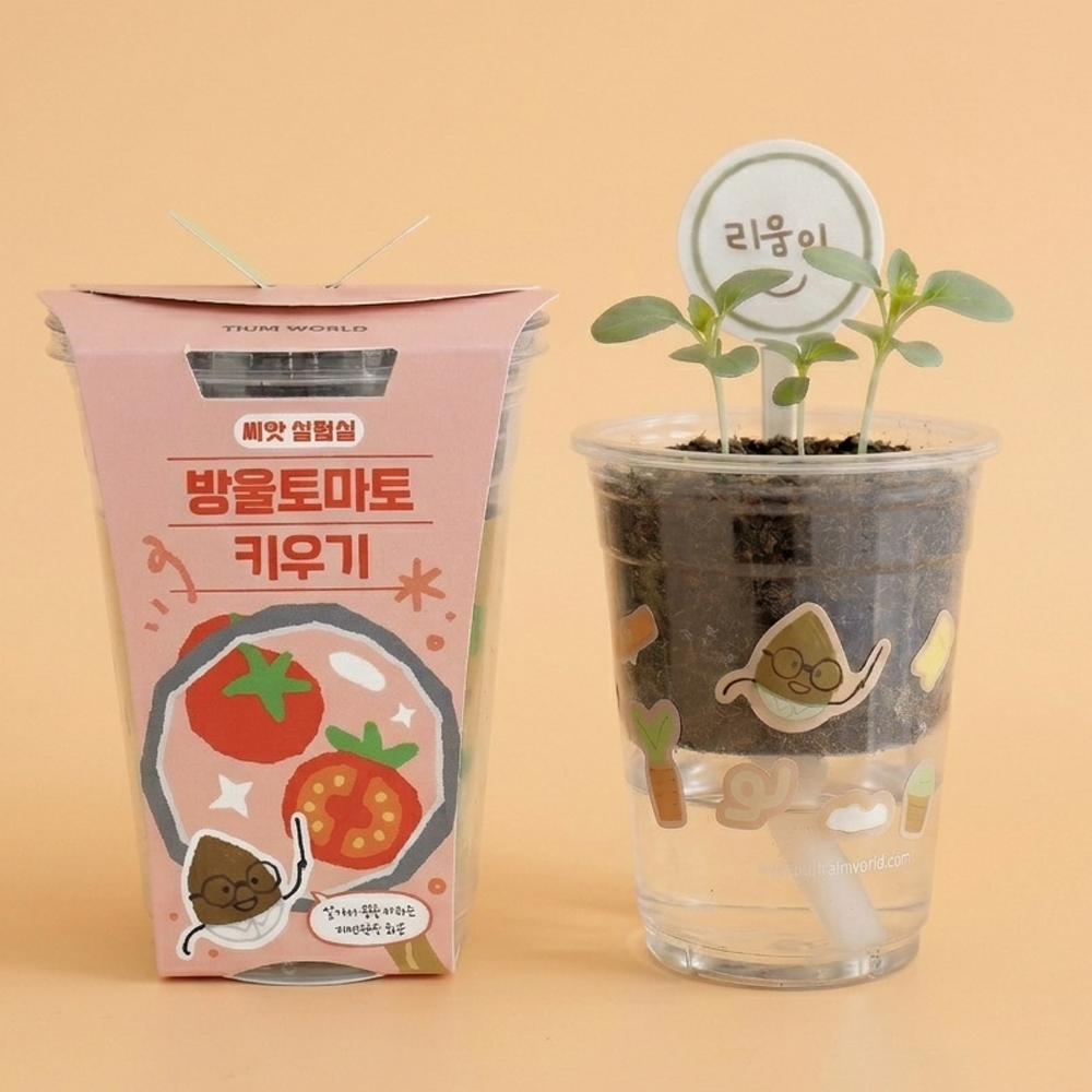 방울토마토 키우기 초보자 자연관찰 식물키트 저면관수 - 상품 이미지