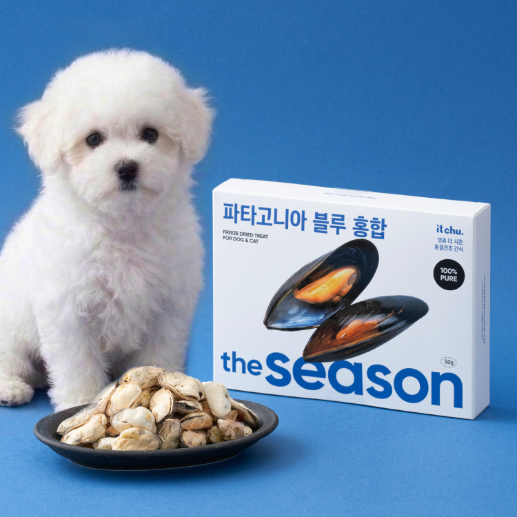 잇츄 더시즌 강아지 동결 건조 간식 트릿 고양이 홍합 광어 갈치 흑돼지 당근 이미지 6