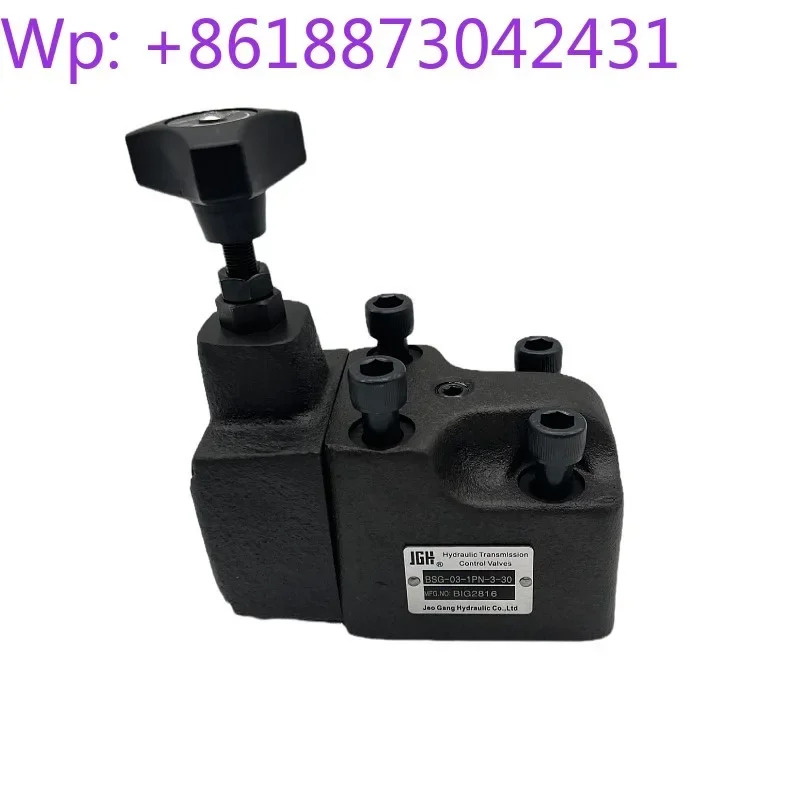 BSG-06-1PN-0/1/2/3-30 03 1NP 솔레노이드 릴리프 밸브 W220/50-20 G24
