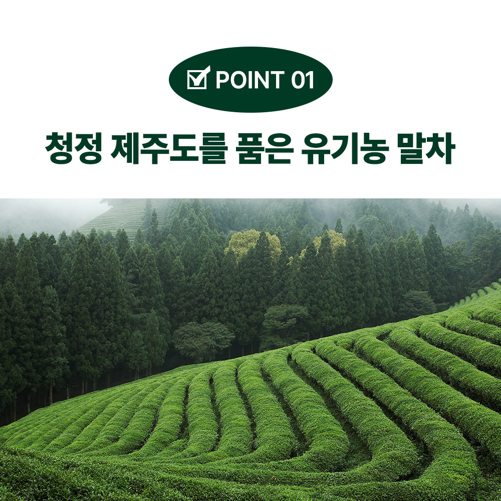 제주 말차 그린브레스 폐 말차뜻 프리미엄 120정 4개월분 이미지 7