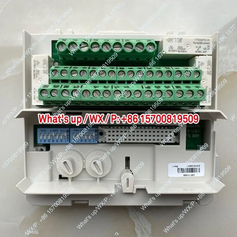 화염 센서 UVISOR FAU810감지기 C10-12010 제어 분석 장치 모듈