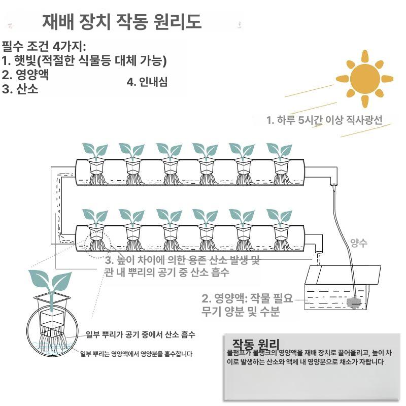 가정용 수경재배기 베란다 채소재배기 스마트팜 야채 텃밭 대형 상추키우기 채소 심기 재배기 - 상세 이미지 3