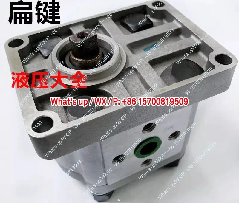 적 유압 기어 펌프 CBN-F304 E306 F310 F314 F316 F320 F325