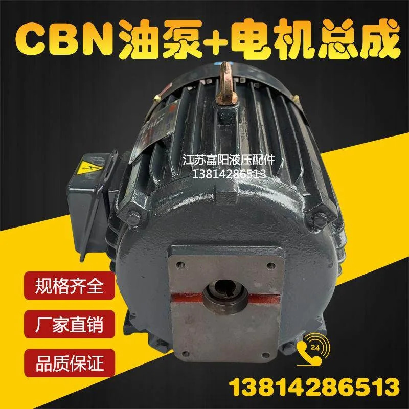 유압 오일 펌프 수평 내부 플매트 카펫 러그유닛 CBN1.5KW2.2KW3KW 어셈블리 샤프트 구리선 모터