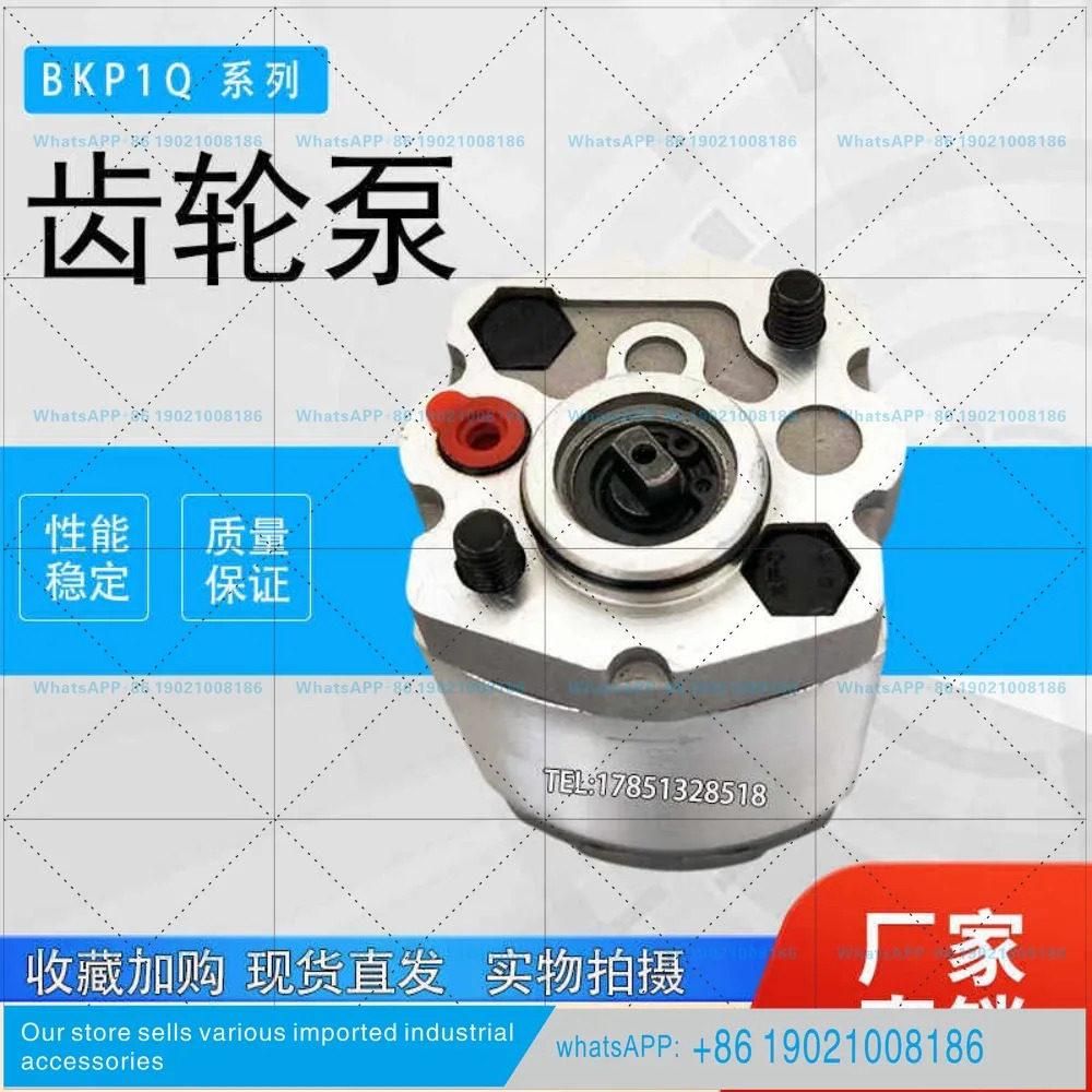 유압식 기어 오일 펌프 BKP1Q0D8.0/BKP1Q0S1.1/S1.3/D4.8/S3.7/G0L1-B