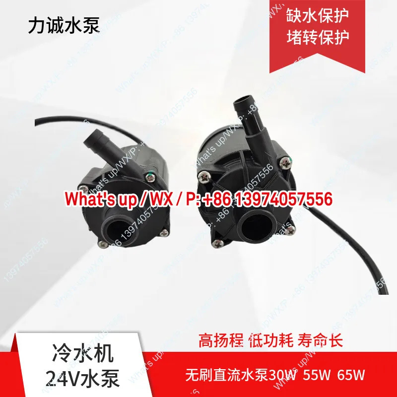 리청 CG0224202403 CE0124101202 CG0224132304 DC 브러시리스 수냉식 냉각기 워터 펌프