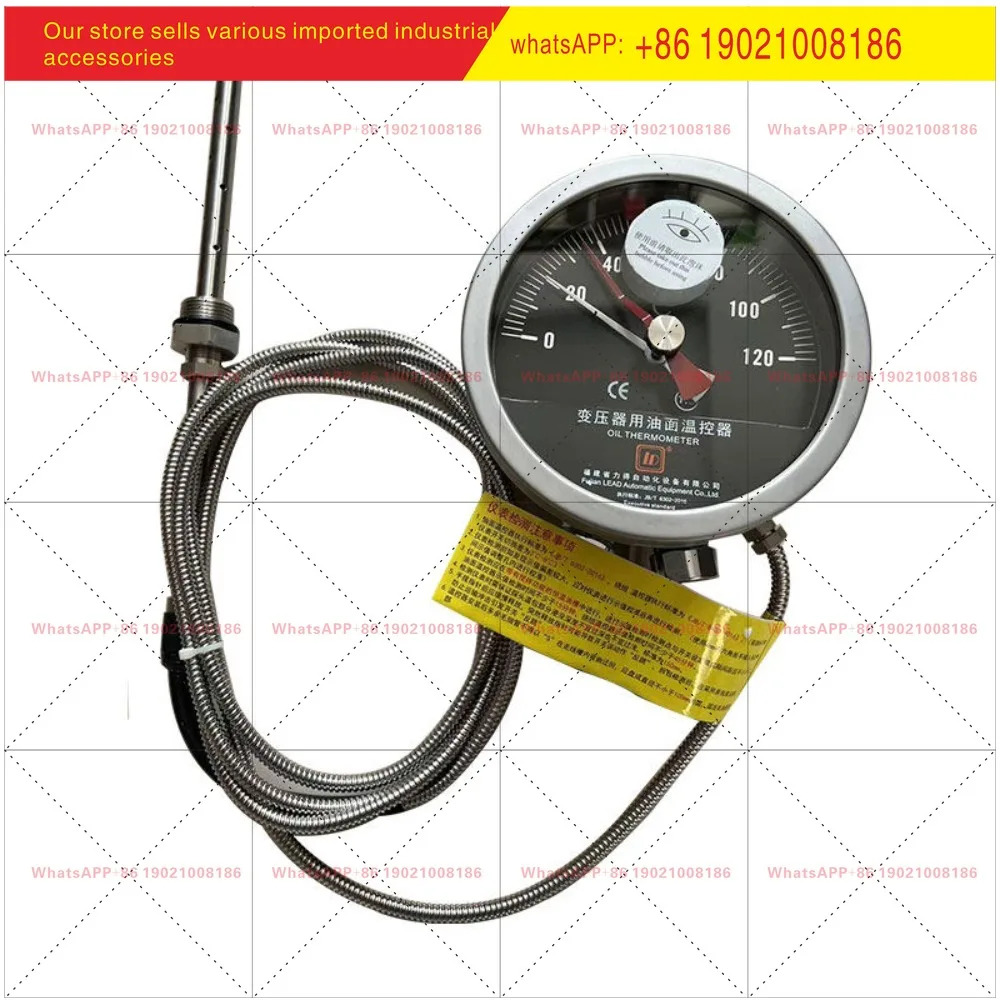 BWY-803/803D 오일 표면 온도계 온도 조절기 디지털 디스플레이 미터 스토어
