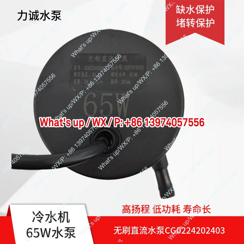 리청 CG0224202403 CE0124101202 CG0224132304 DC 브러시리스 수냉식 냉각기 워터 펌프