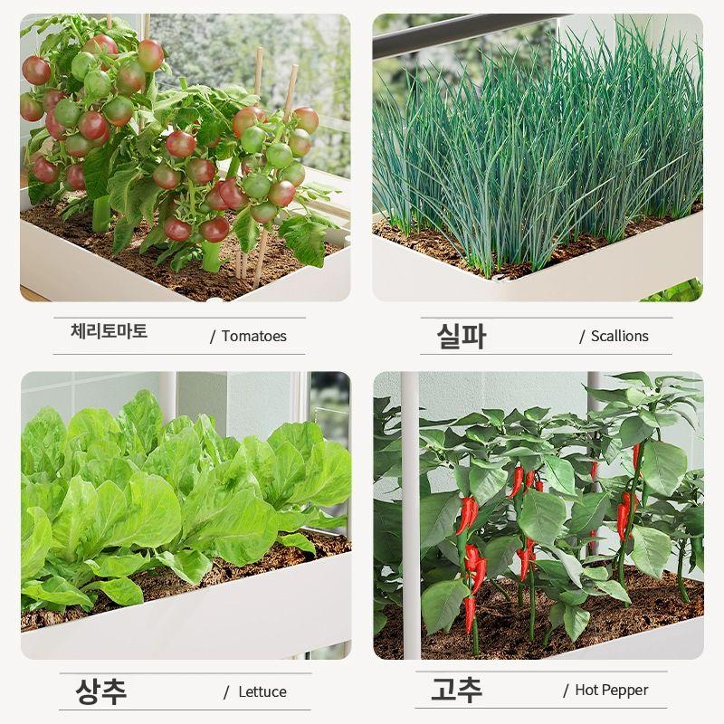 바퀴달린 실내 텃밭화분 상추 아파트 베란다 집에서쌈채소키우기 스탠드형 물빠짐 - 상세 이미지 4