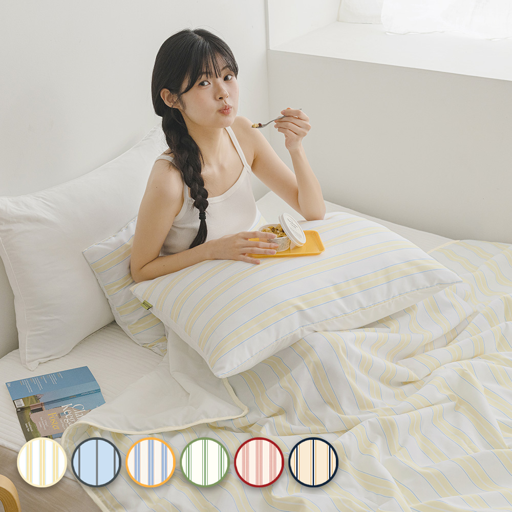 바자르 썸머빌리지 먼지없는 냉감 양면 여름 차렵이불 패드세트 SS