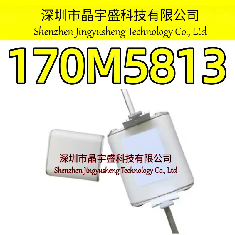 오리지널 170M5813 모듈