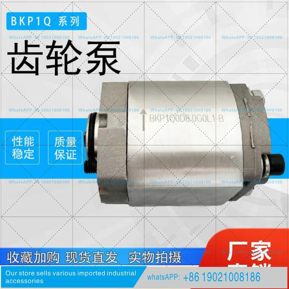 유압식 기어 오일 펌프 BKP1Q0D8.0/BKP1Q0S1.1/S1.3/D4.8/S3.7/G0L1-B