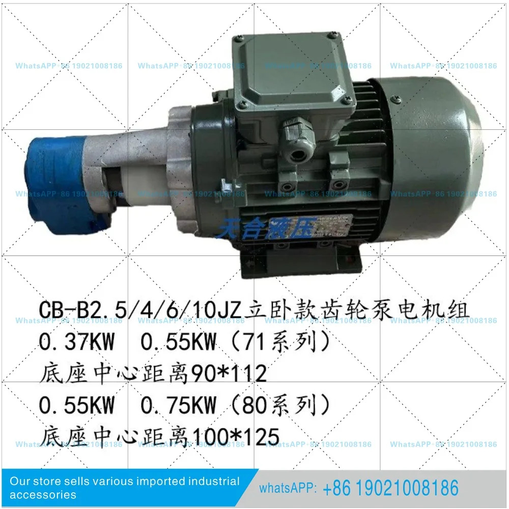 CB-B6 B4JZ 기어 오일 펌프 모터 CB-B10JZ 2.5JZ 수직 윤활유 0.37/0