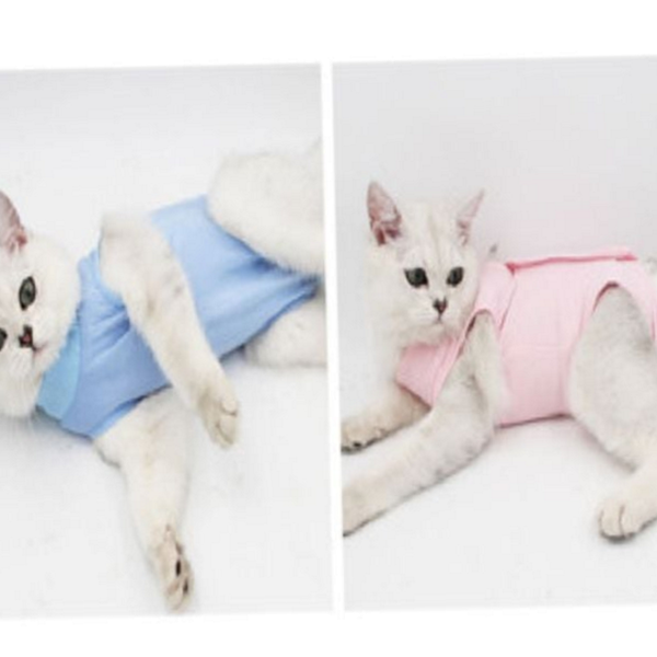 스판 고양이 옷 반려동물 강아지 옷 보호복 수술 - 상품 이미지