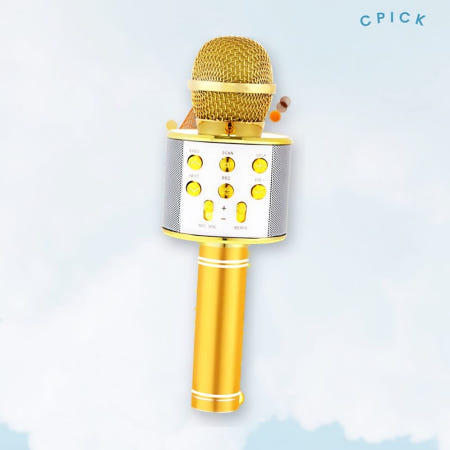 블루투스마이크 액센 플레이고 P151 휴대용 노래방기기 커머스픽101