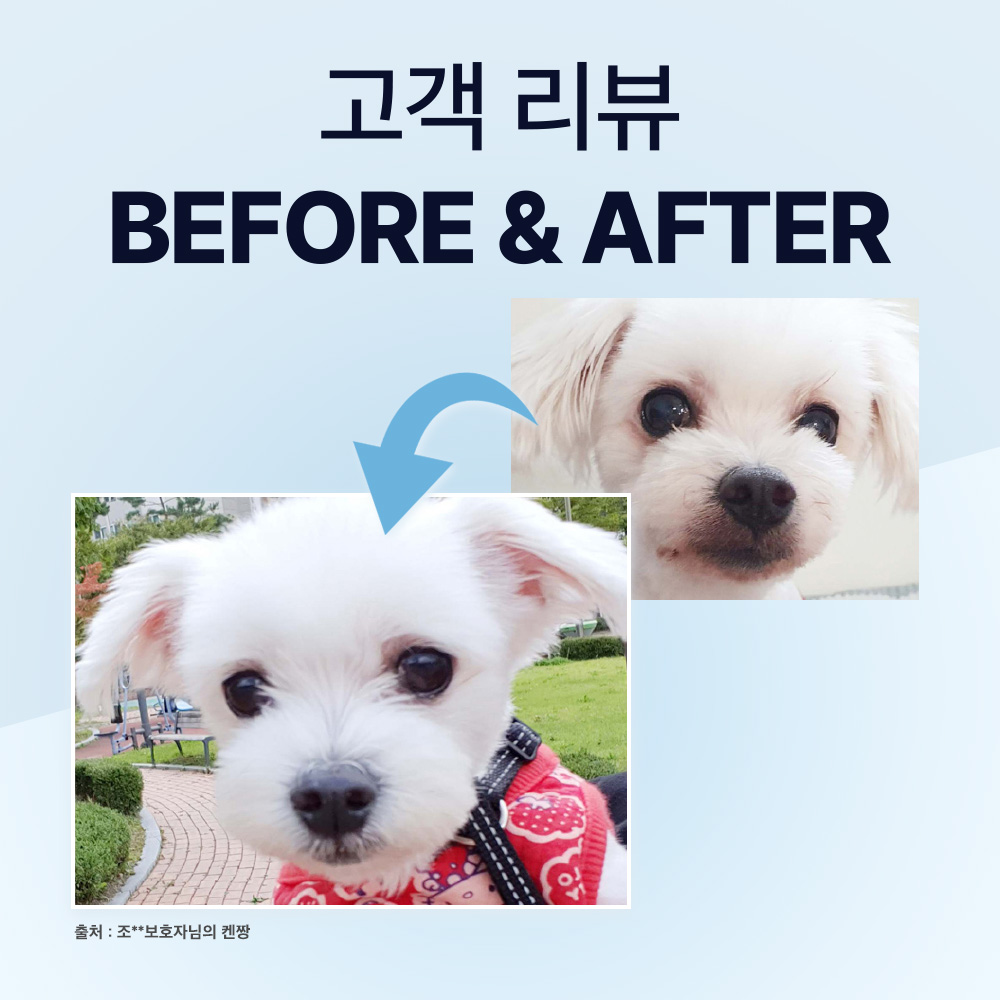 닥터바이 아이즈 강아지 눈 영양제 눈물자국 냄새 루테인 70개입, 1개 상품 이미지