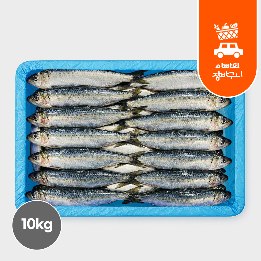 국내산 냉동 청어 10kg 업소용 구이용 스끼 벌크 이미지 6