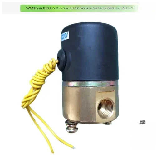 ZCT-3D 솔레노이드 밸브 AC220V 0.1MPA 화학 시약 유기