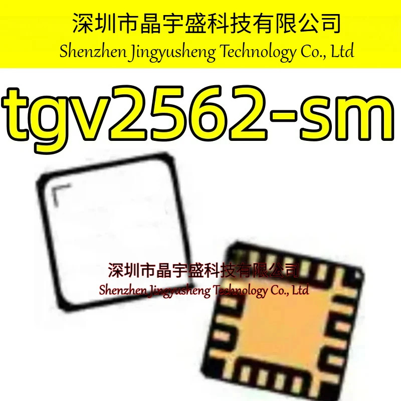 오리지널 TGV2562-SM TGV2562 QFN 칩