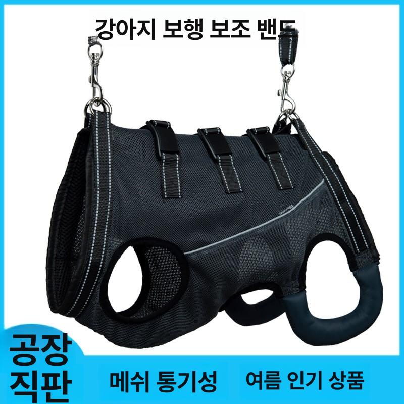 강아지척추보조기 노견 디스크 사계절 허리보호대 다크네이비 XS [2~4.5kg] - 상세 이미지 5