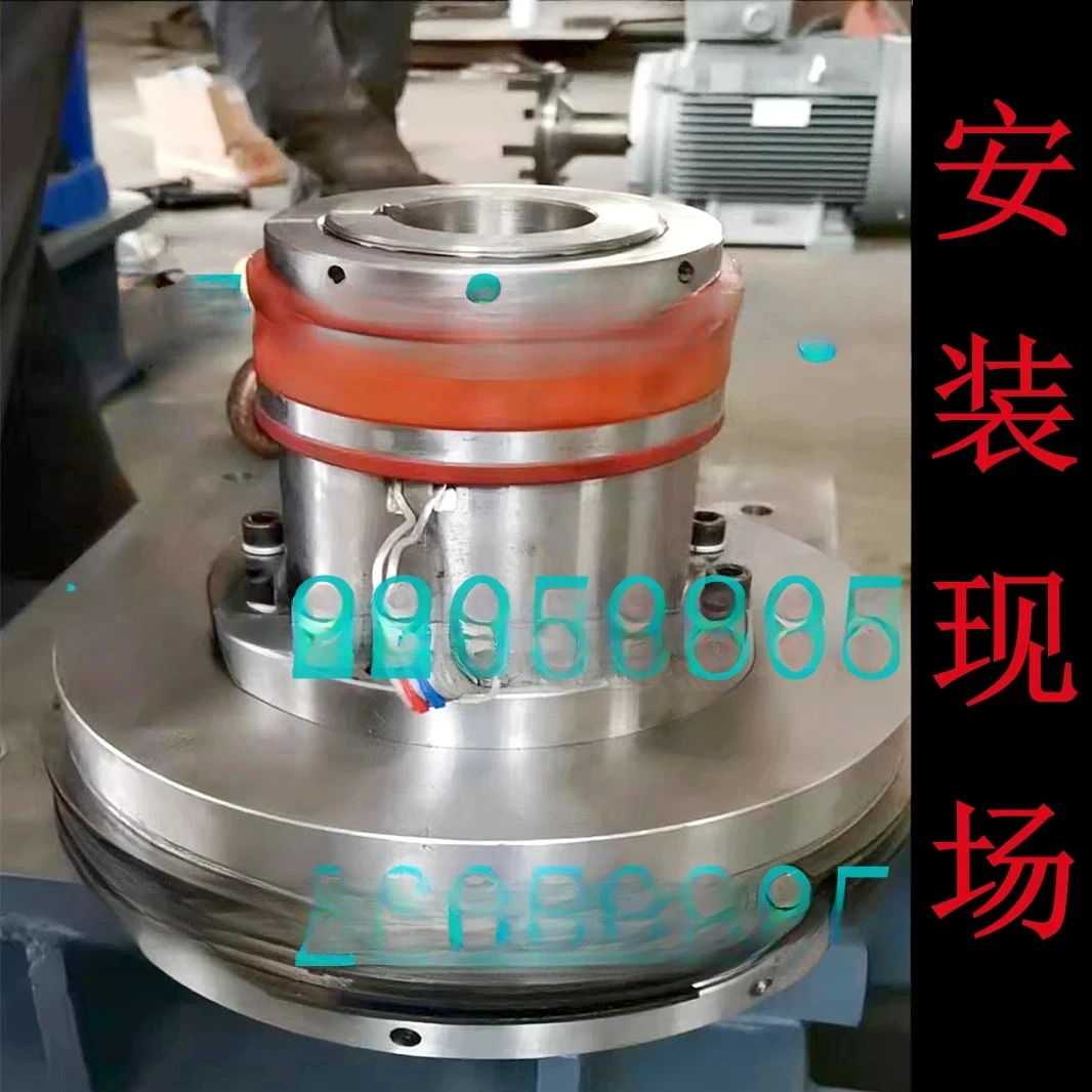 DLM2 K 63A100A 160A 250A 400A 1000A 고토크 건식 멀티 플레이트 전자기 클러치 DC96V