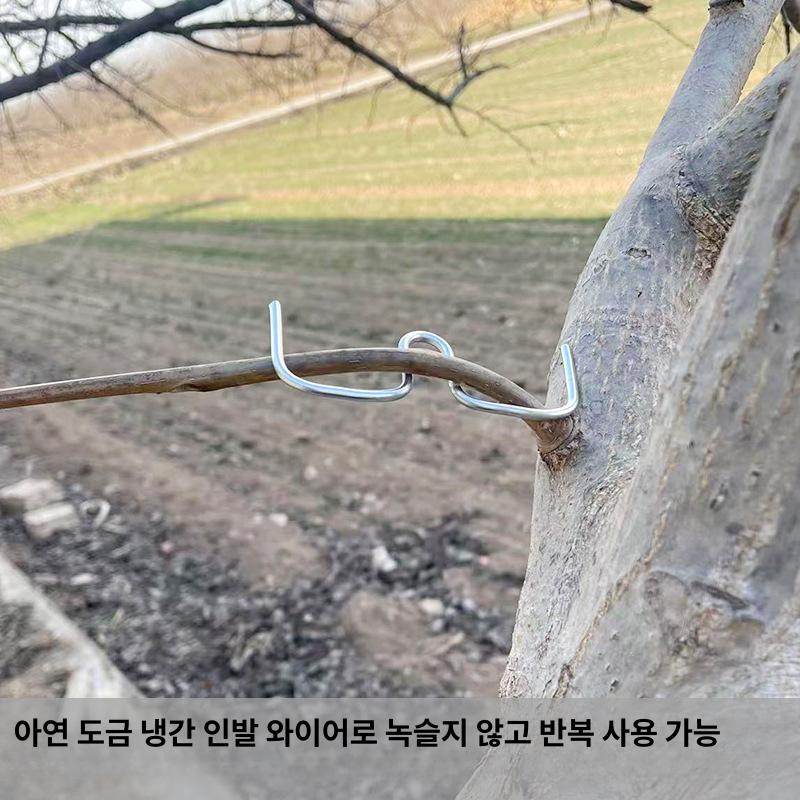 고추대 클립 고추 결속 유인 고추끈 고추지지대 농작물 고정 M형 M13 - 상세 이미지 3