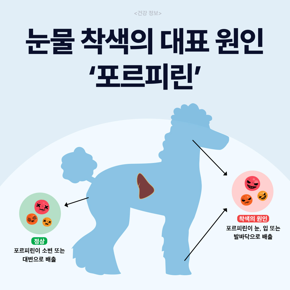 닥터바이 아이즈 강아지 눈 영양제 눈물자국 냄새 루테인 70개입, 1개 상품 이미지