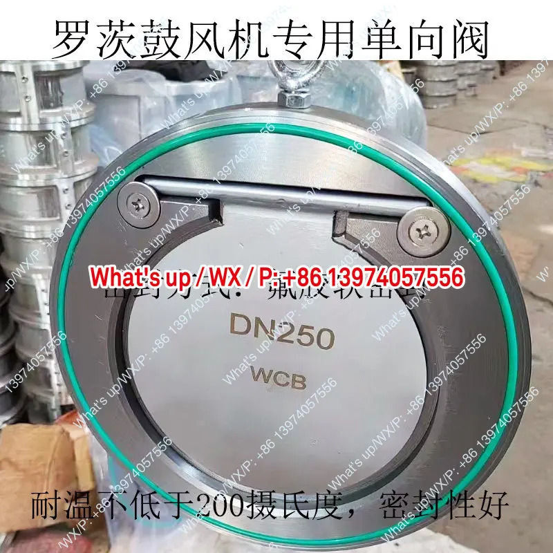 304 스테인리스 스틸 H74W-16P 웨이퍼온 체크밸브 베니어 플레이트 배플 PN10
